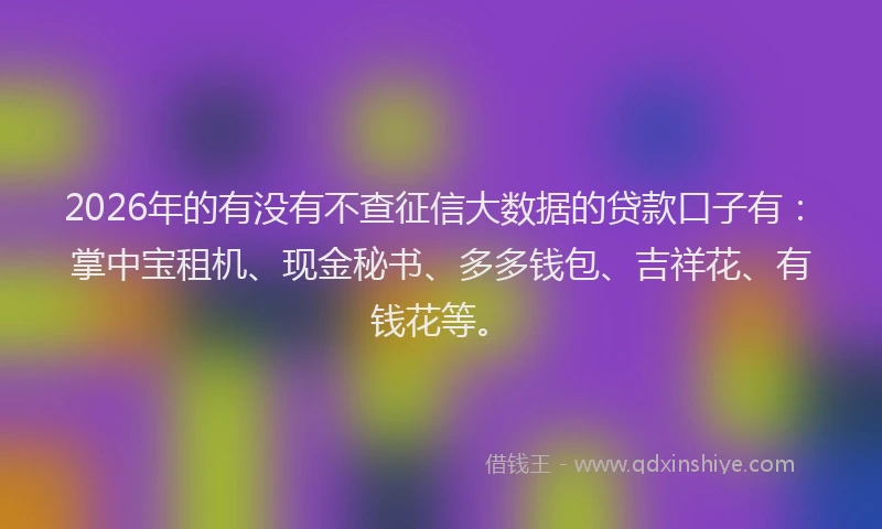 2026年的有没有不查征信大数据的贷款口子有：掌中宝租机、现金秘书、多多钱包、吉祥花、有钱花等。
