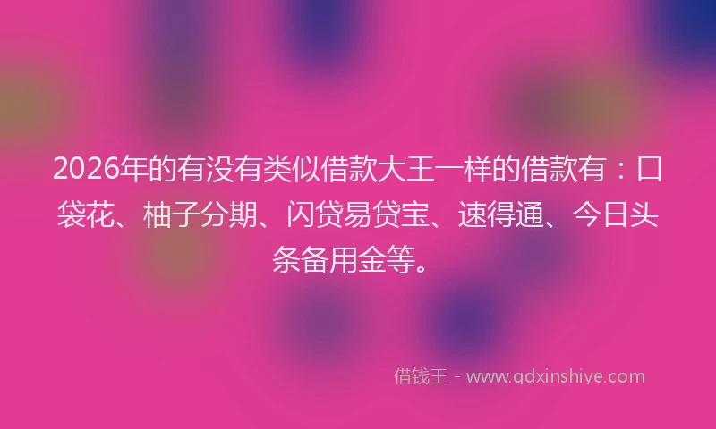 2026年的有没有类似借款大王一样的借款有：口袋花、柚子分期、闪贷易贷宝、速得通、今日头条备用金等。