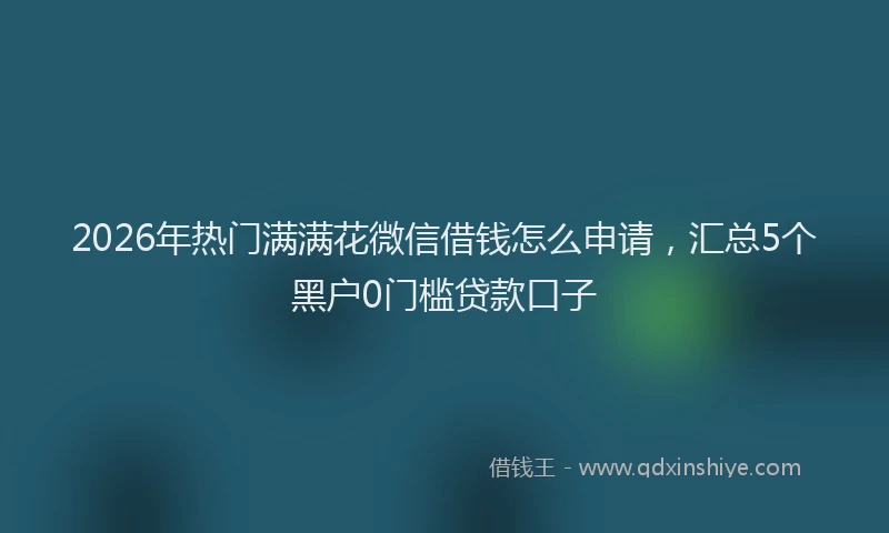 2026年热门满满花微信借钱怎么申请，汇总5个黑户0门槛贷款口子