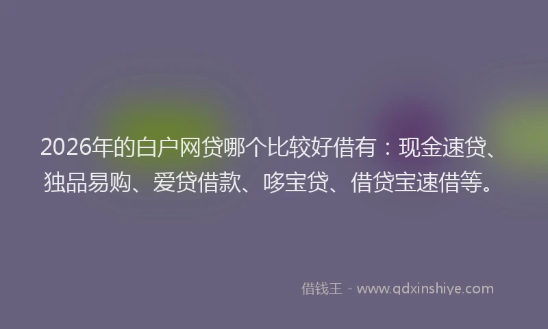 2026年的白户网贷哪个比较好借有：现金速贷、独品易购、爱贷借款、哆宝贷、借贷宝速借等。