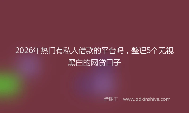 2026年热门有私人借款的平台吗，整理5个无视黑白的网贷口子