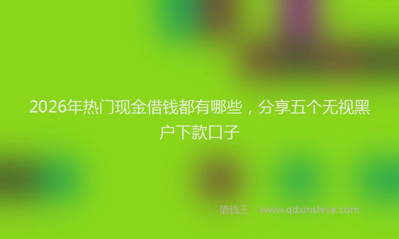2026年热门现金借钱都有哪些，分享五个无视黑户下款口子