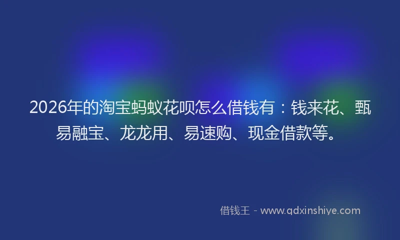 2026年的淘宝蚂蚁花呗怎么借钱有:钱来花、甄易融宝、龙龙用、易速购、现金借款等。