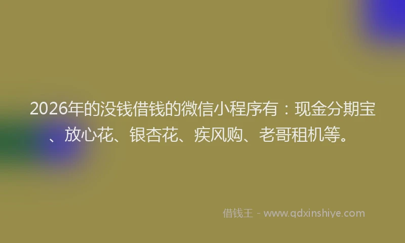 2026年的没钱借钱的微信小程序有：现金分期宝、放心花、银杏花、疾风购、老哥租机等。