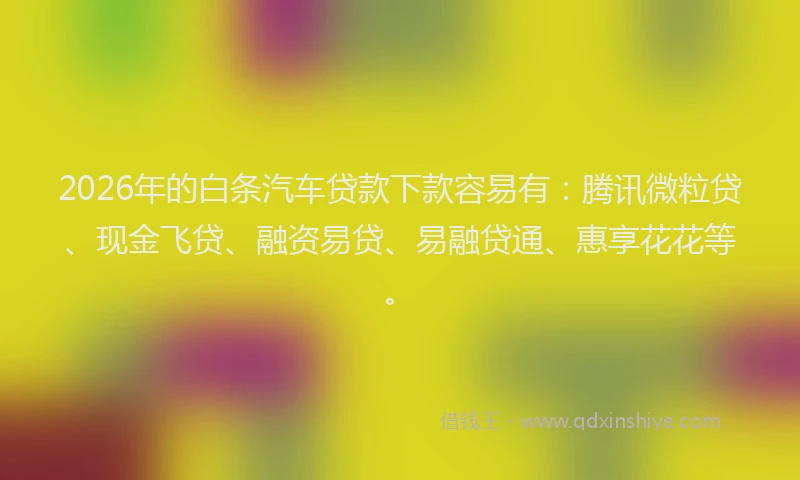 2026年的白条汽车贷款下款容易有：腾讯微粒贷、现金飞贷、融资易贷、易融贷通、惠享花花等。