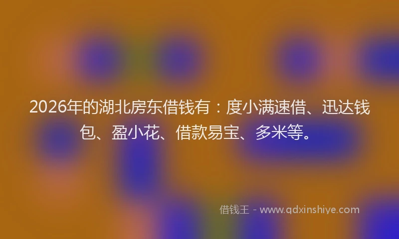 2026年的湖北房东借钱有：度小满速借、迅达钱包、盈小花、借款易宝、多米等。
