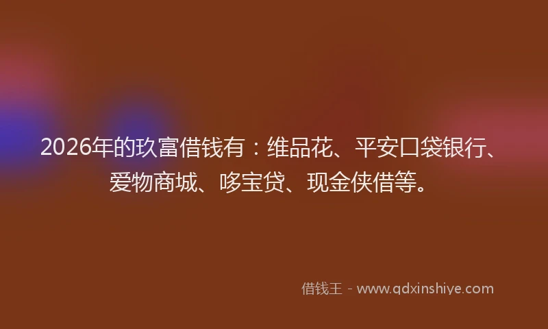 2026年的玖富借钱有：维品花、平安口袋银行、爱物商城、哆宝贷、现金侠借等。
