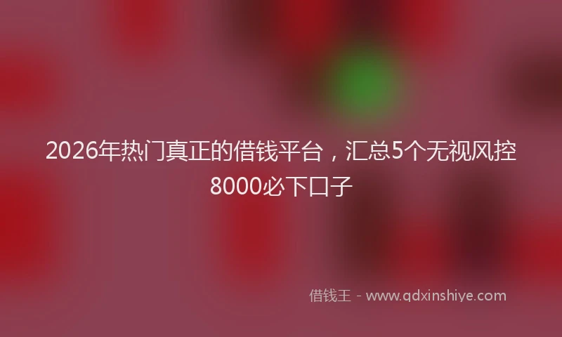 2026年热门真正的借钱平台，汇总5个无视风控8000必下口子