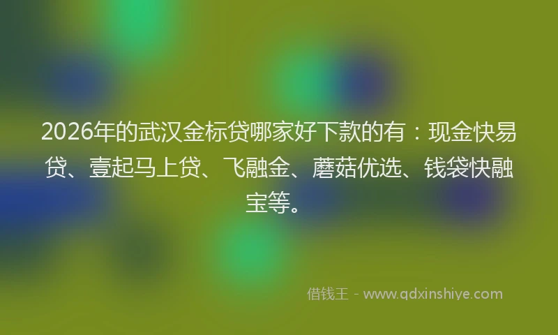 2026年的武汉金标贷哪家好下款的有：现金快易贷、壹起马上贷、飞融金、蘑菇优选、钱袋快融宝等。