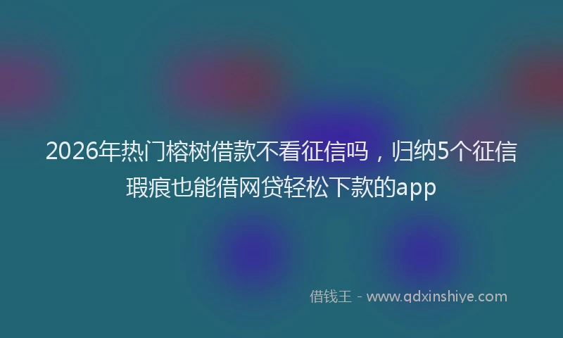 2026年热门榕树借款不看征信吗，归纳5个征信瑕疵也能借网贷轻松下款的app