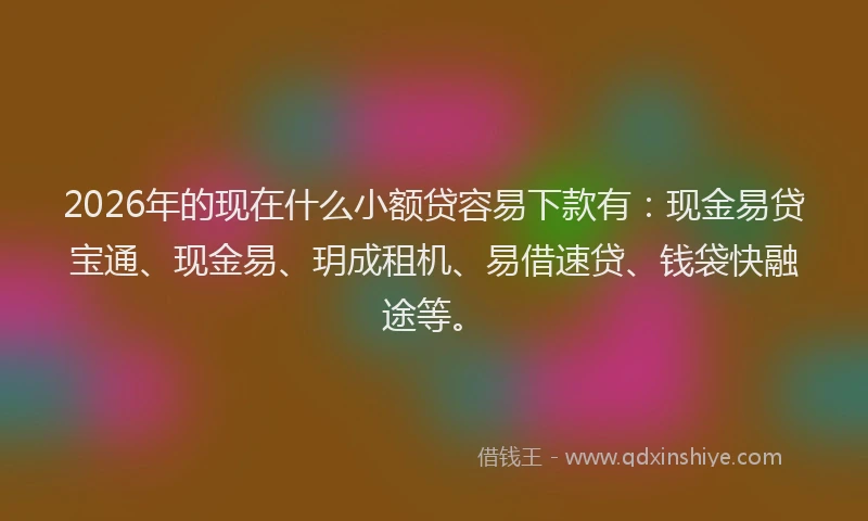 2026年的现在什么小额贷容易下款有：现金易贷宝通、现金易、玥成租机、易借速贷、钱袋快融途等。