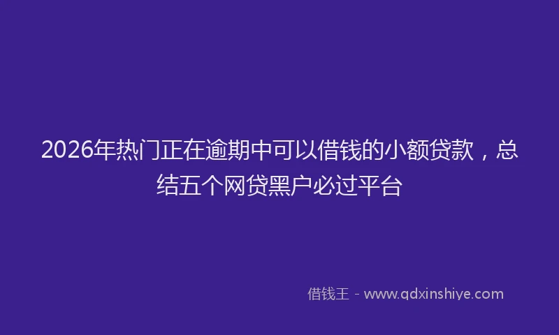 2026年热门正在逾期中可以借钱的小额贷款，总结五个网贷黑户必过平台