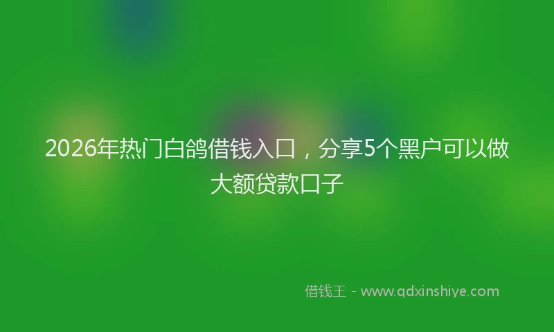 2026年热门白鸽借钱入口，分享5个黑户可以做大额贷款口子