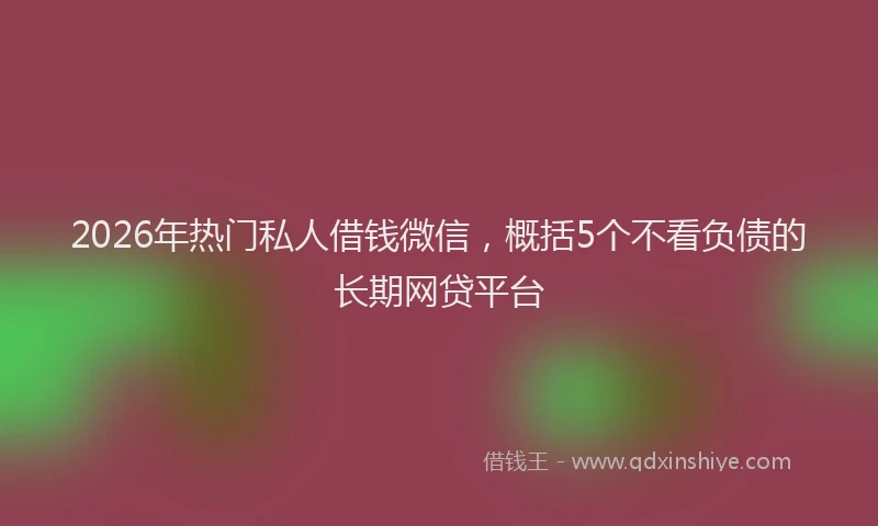 2026年热门私人借钱微信，概括5个不看负债的长期网贷平台