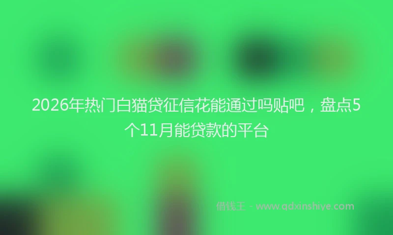 2026年热门白猫贷征信花能通过吗贴吧，盘点5个11月能贷款的平台