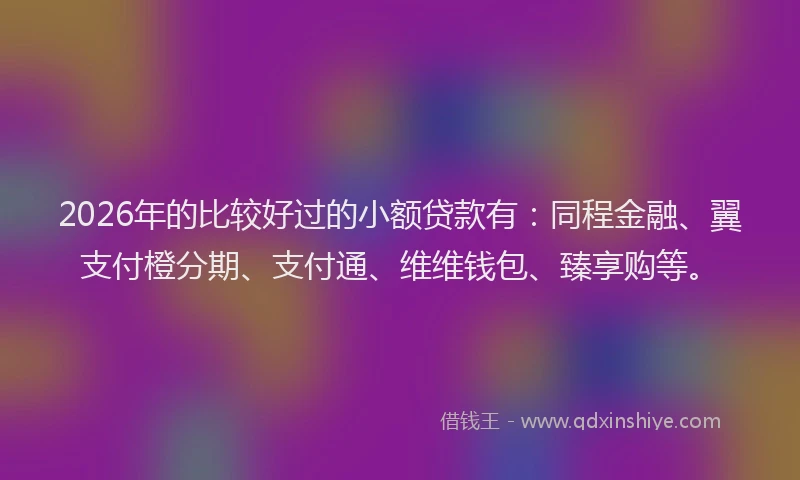 2026年的比较好过的小额贷款有：同程金融、翼支付橙分期、支付通、维维钱包、臻享购等。