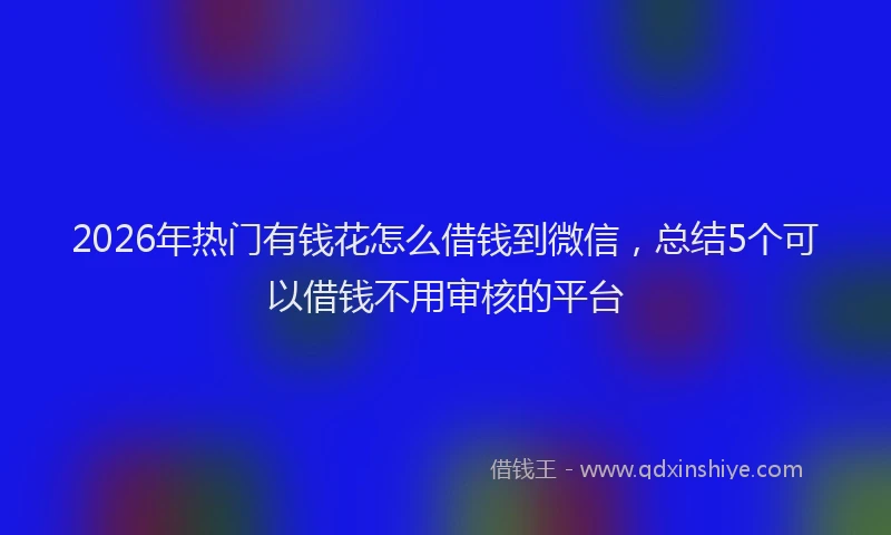2026年热门有钱花怎么借钱到微信，总结5个可以借钱不用审核的平台