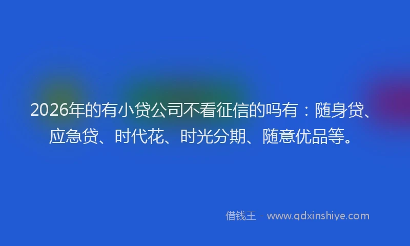 2026年的有小贷公司不看征信的吗有：随身贷、应急贷、时代花、时光分期、随意优品等。