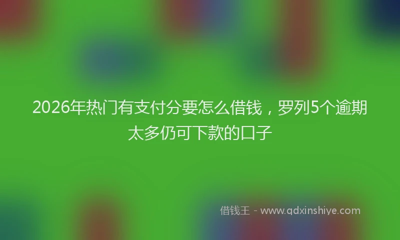 2026年热门有支付分要怎么借钱，罗列5个逾期太多仍可下款的口子