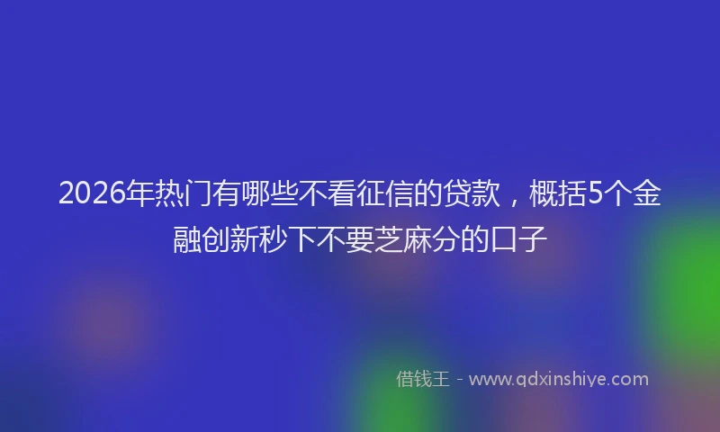 2026年热门有哪些不看征信的贷款，概括5个金融创新秒下不要芝麻分的口子