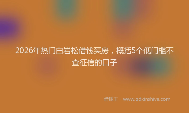 2026年热门白岩松借钱买房，概括5个低门槛不查征信的口子
