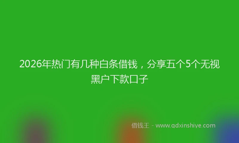 2026年热门有几种白条借钱，分享五个5个无视黑户下款口子