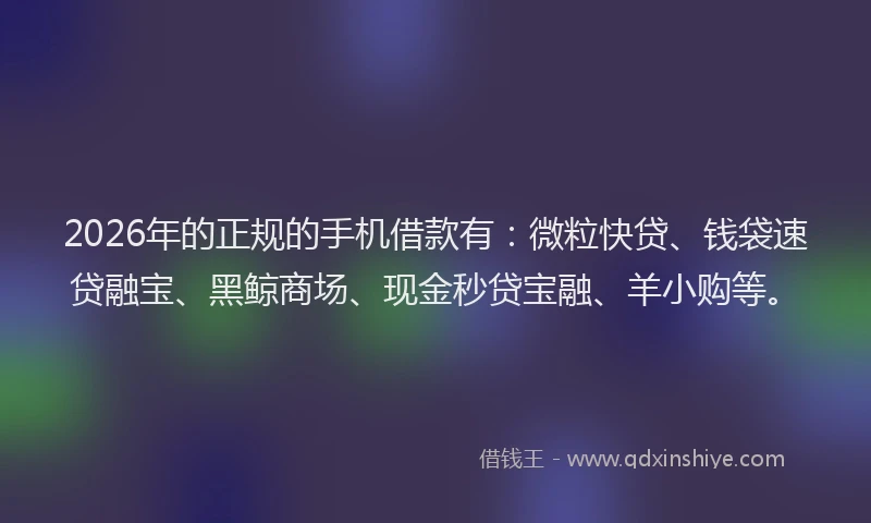 2026年的正规的手机借款有：微粒快贷、钱袋速贷融宝、黑鲸商场、现金秒贷宝融、羊小购等。