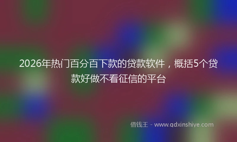 2026年热门百分百下款的贷款软件，概括5个贷款好做不看征信的平台