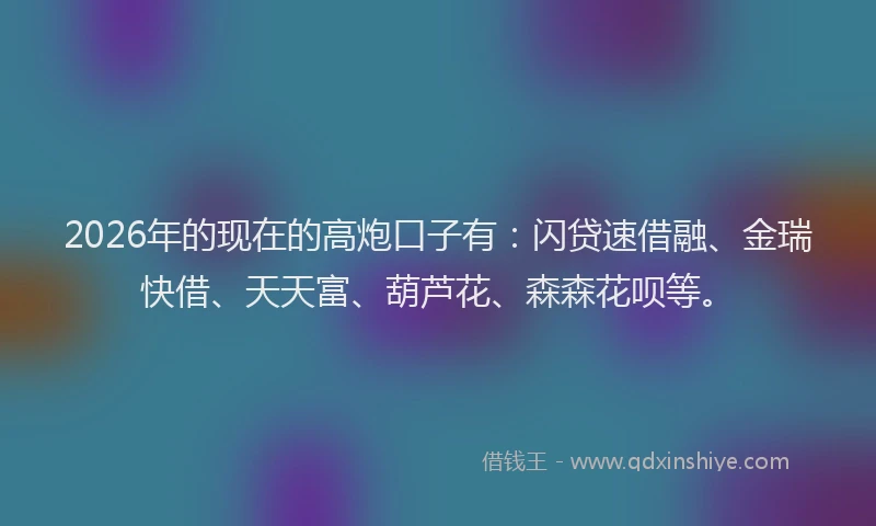 2026年的现在的高炮口子有：闪贷速借融、金瑞快借、天天富、葫芦花、森森花呗等。