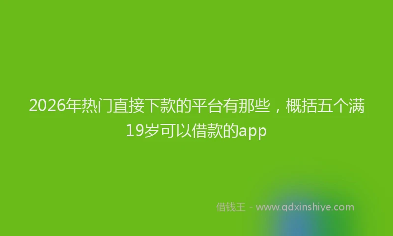 2026年热门直接下款的平台有那些，概括五个满19岁可以借款的app