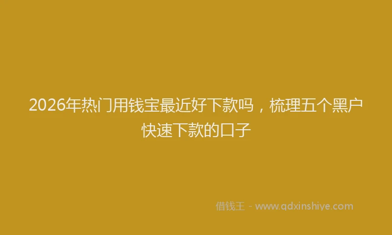 2026年热门用钱宝最近好下款吗，梳理五个黑户快速下款的口子
