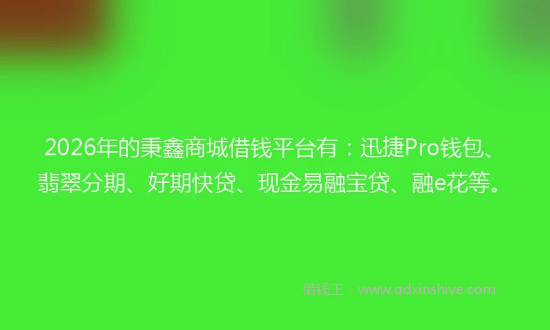 2026年的秉鑫商城借钱平台有:迅捷Pro钱包、翡翠分期、好期快贷、现金易融宝贷、融e花等。