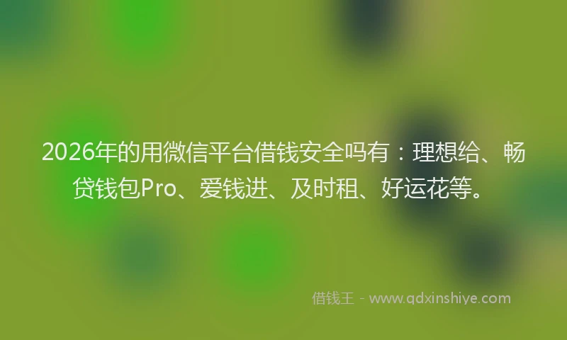 2026年的用微信平台借钱安全吗有：理想给、畅贷钱包Pro、爱钱进、及时租、好运花等。