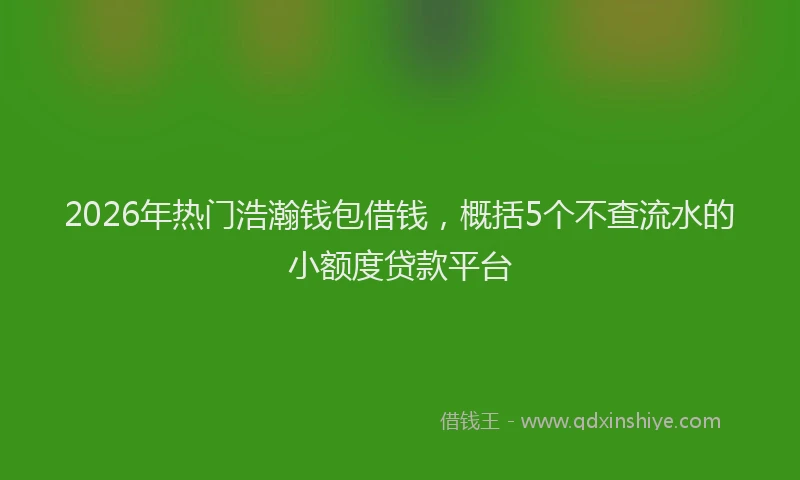 2026年热门浩瀚钱包借钱，概括5个不查流水的小额度贷款平台