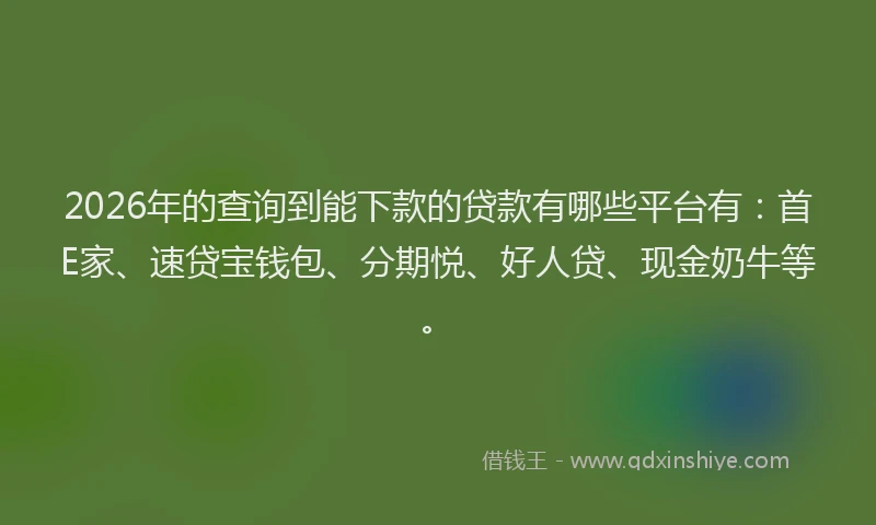 2026年的查询到能下款的贷款有哪些平台有：首E家、速贷宝钱包、分期悦、好人贷、现金奶牛等。