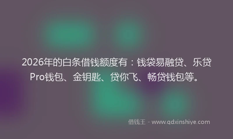 2026年的白条借钱额度有：钱袋易融贷、乐贷Pro钱包、金钥匙、贷你飞、畅贷钱包等。