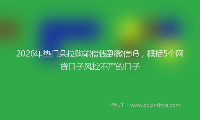 2026年热门朵拉购能借钱到微信吗,概括5个网贷口子风控不严的口子