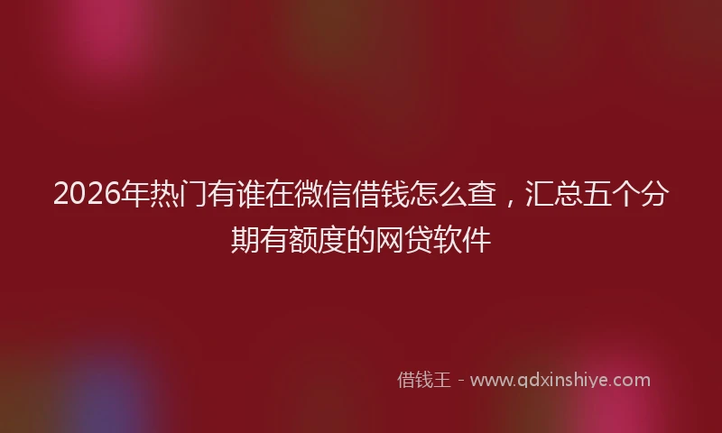 2026年热门有谁在微信借钱怎么查,汇总五个分期有额度的网贷软件