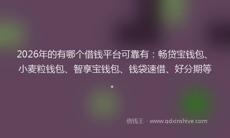 2026年的有哪个借钱平台可靠有：畅贷宝钱包、小麦粒钱包、智享宝钱包、钱袋速借、好分期等。