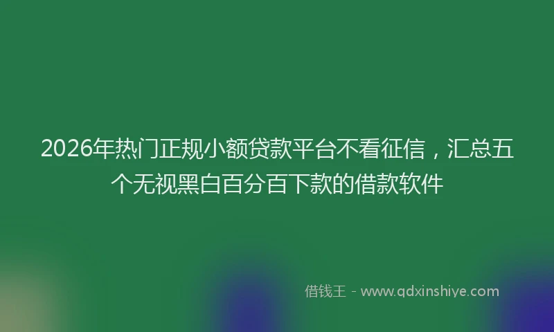 2026年热门正规小额贷款平台不看征信，汇总五个无视黑白百分百下款的借款软件