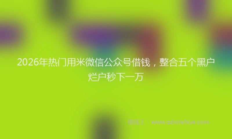 2026年热门用米微信公众号借钱，整合五个黑户烂户秒下一万