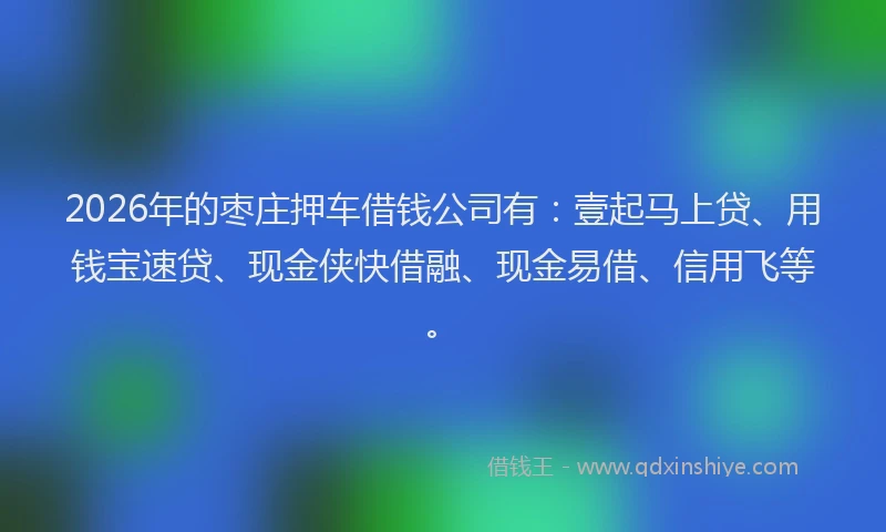 2026年的枣庄押车借钱公司有：壹起马上贷、用钱宝速贷、现金侠快借融、现金易借、信用飞等。