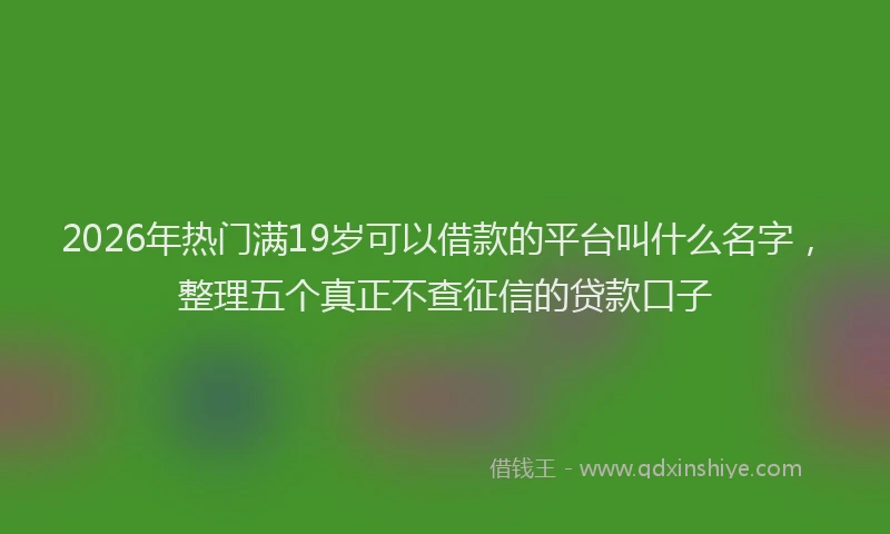 2026年热门满19岁可以借款的平台叫什么名字，整理五个真正不查征信的贷款口子