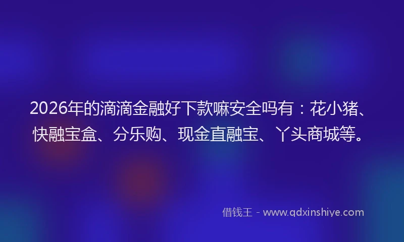 2026年的滴滴金融好下款嘛安全吗有：花小猪、快融宝盒、分乐购、现金直融宝、丫头商城等。