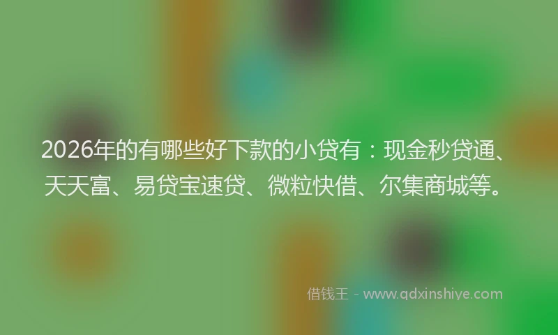 2026年的有哪些好下款的小贷有：现金秒贷通、天天富、易贷宝速贷、微粒快借、尔集商城等。