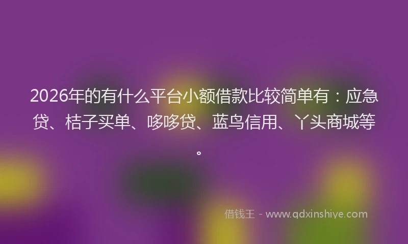 2026年的有什么平台小额借款比较简单有:应急贷、桔子买单、哆哆贷、蓝鸟信用、丫头商城等。