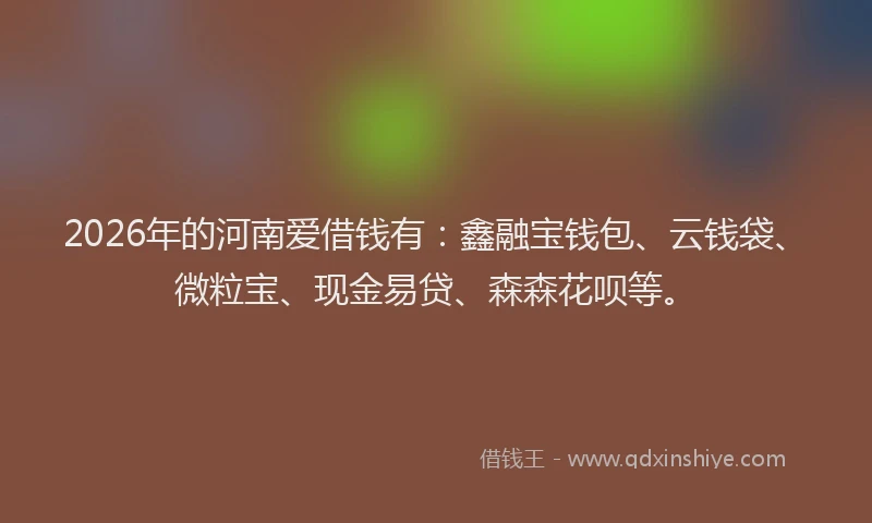 2026年的河南爱借钱有：鑫融宝钱包、云钱袋、微粒宝、现金易贷、森森花呗等。