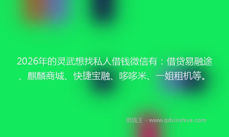 2026年的灵武想找私人借钱微信有：借贷易融途、麒麟商城、快捷宝融、哆哆米、一姐租机等。