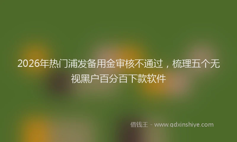 2026年热门浦发备用金审核不通过，梳理五个无视黑户百分百下款软件