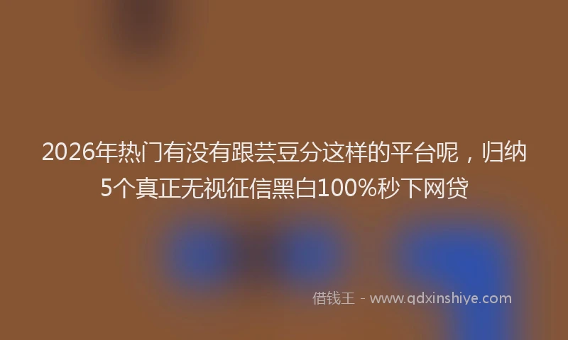 2026年热门有没有跟芸豆分这样的平台呢，归纳5个真正无视征信黑白100%秒下网贷